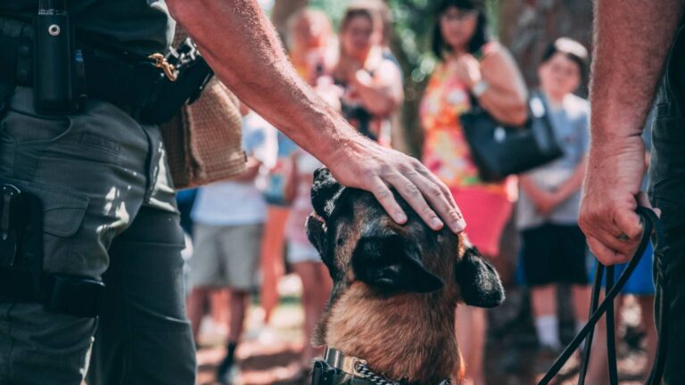 THE PROBLEM WITH, “IT’S OK! HE’S FRIENDLY!”